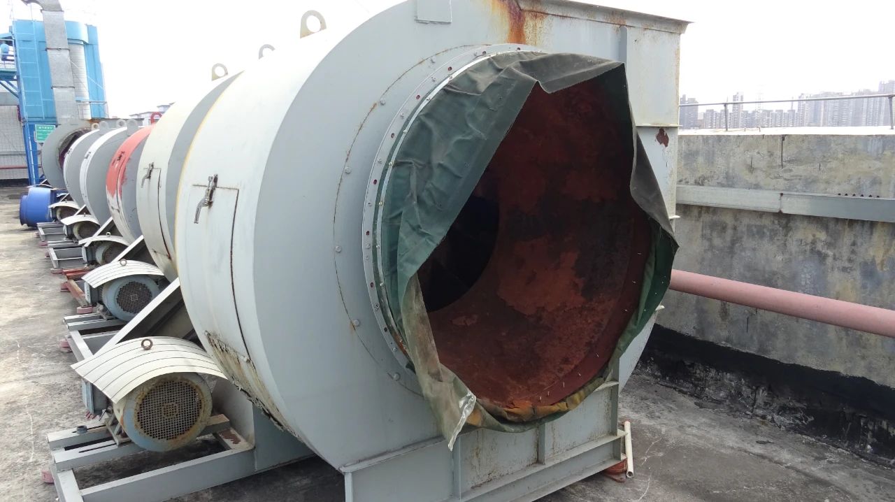 17110967335846858061.jpg 2.jpg